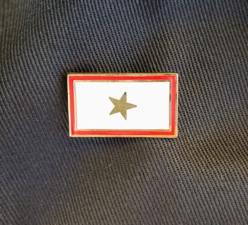 Hat Pin Gold Star